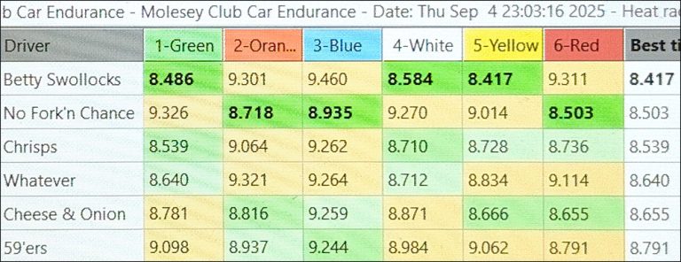 Molesey Scalextric Club 2025 best laps Club Cars 2hr Team Endurance September 04